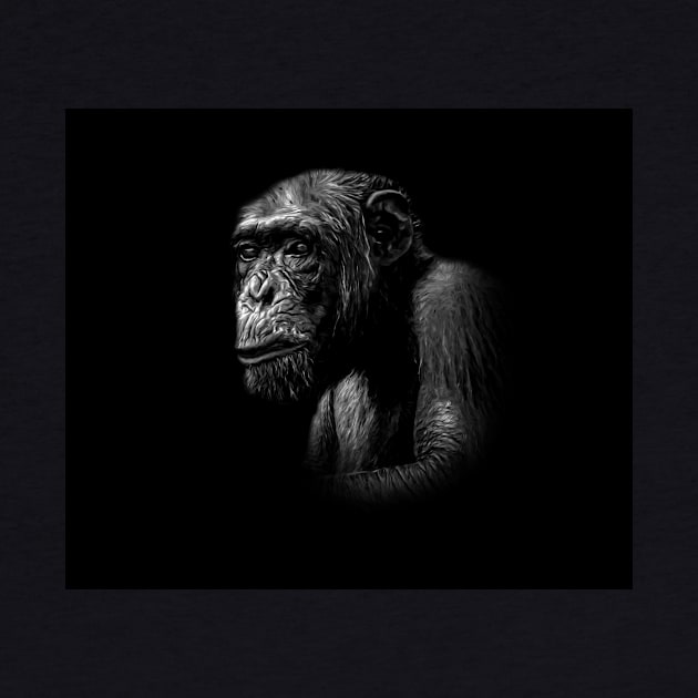 Chimpanzee by Guardi